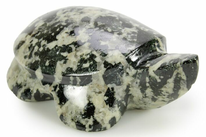 Carved Riebeckite Granite Turtle - Alaska #373639